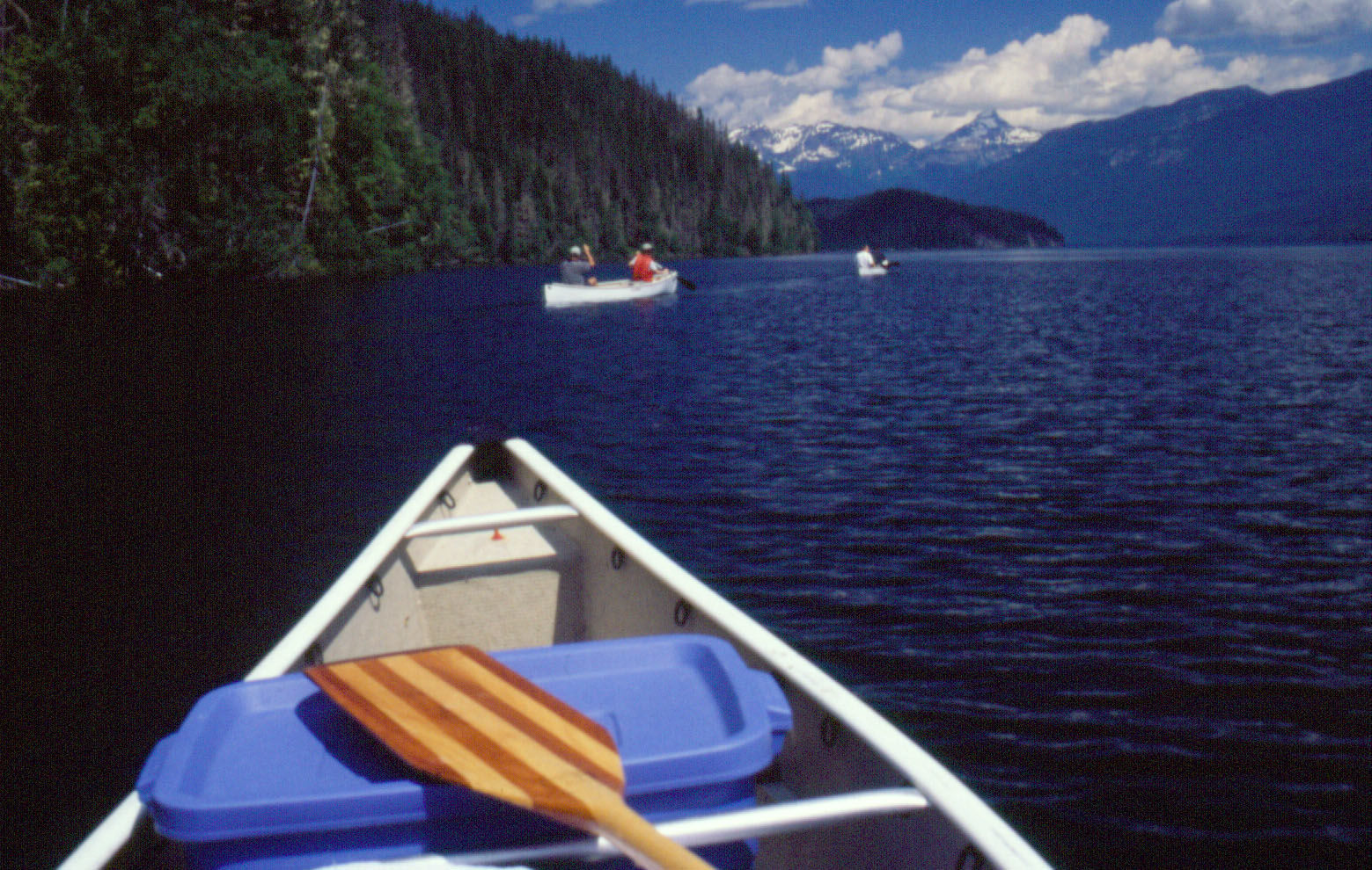Helmcken Falls Lodge Cabin Rooms And Rv Park Clearwater Exteriör bild
